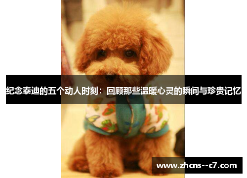 纪念泰迪的五个动人时刻：回顾那些温暖心灵的瞬间与珍贵记忆