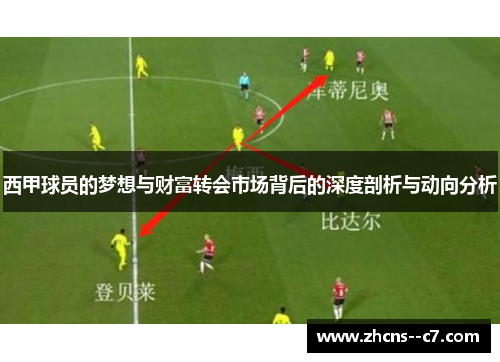 西甲球员的梦想与财富转会市场背后的深度剖析与动向分析