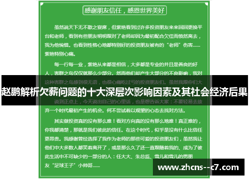 赵鹏解析欠薪问题的十大深层次影响因素及其社会经济后果