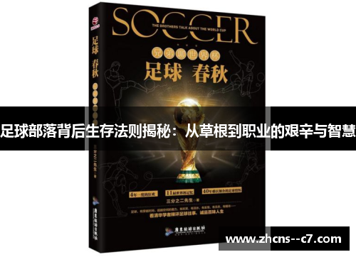 足球部落背后生存法则揭秘：从草根到职业的艰辛与智慧