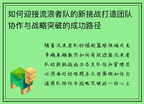 如何迎接流浪者队的新挑战打造团队协作与战略突破的成功路径