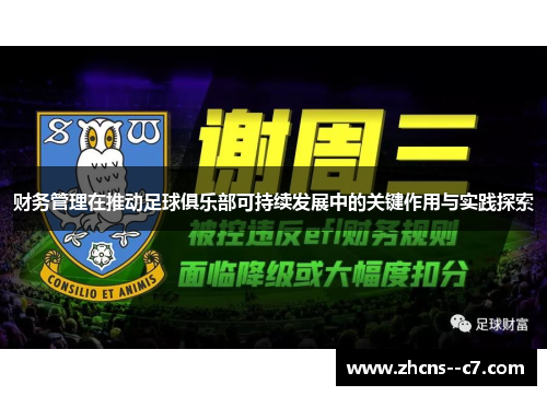 财务管理在推动足球俱乐部可持续发展中的关键作用与实践探索 财务管理在推动足球俱乐部可持续发展中的关键作用与实践探索