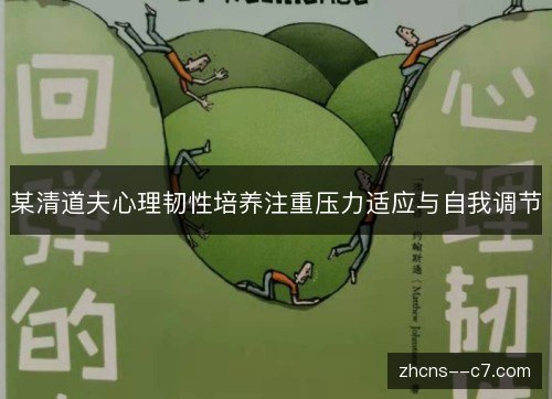 某清道夫心理韧性培养注重压力适应与自我调节